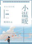 小溫煖（作者：鹿隨）小說封面