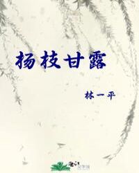 杨枝甘露小说封面