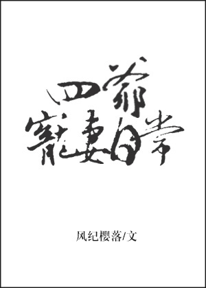 四爺寵妻日常小说封面